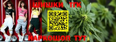 тгк Дубна