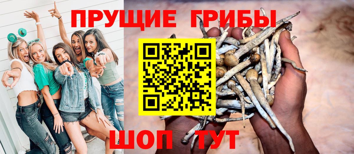Галлюциногенные грибы MAGIC MUSHROOMS  Галлюциногенные грибы Magic Shrooms  Вход с VPN  Майкоп 
